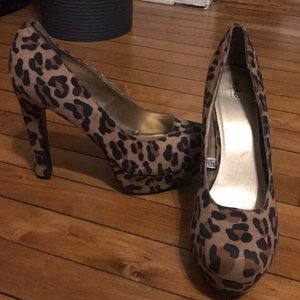 Cheetah platforms